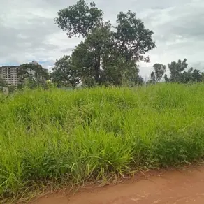 Terreno Parque Jardim Brasil, Caldas Novas - GO — foto 2