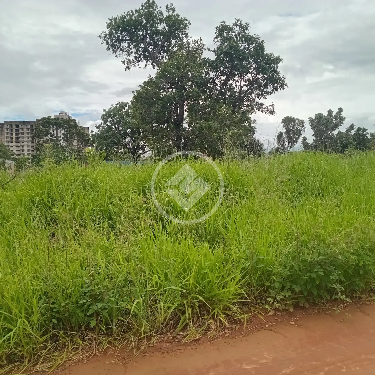 Image 2 - Terreno em Parque Jardim Brasil, Caldas Novas - GO