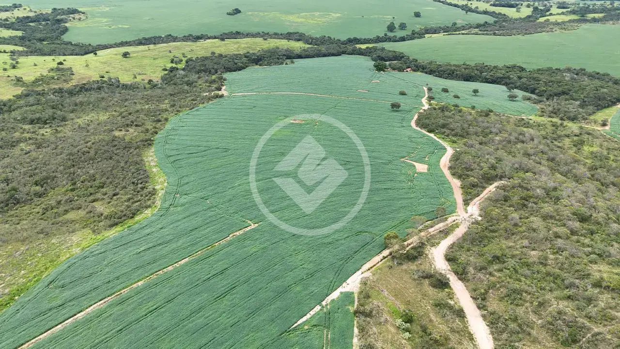 Imagem 1 - Fazenda em Zona Rural, Abadiânia - GO