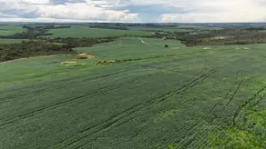 Imagem 2 - Fazenda em Zona Rural, Abadiânia - GO