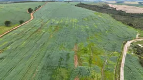 Imagem 3 - Fazenda em Zona Rural, Abadiânia - GO
