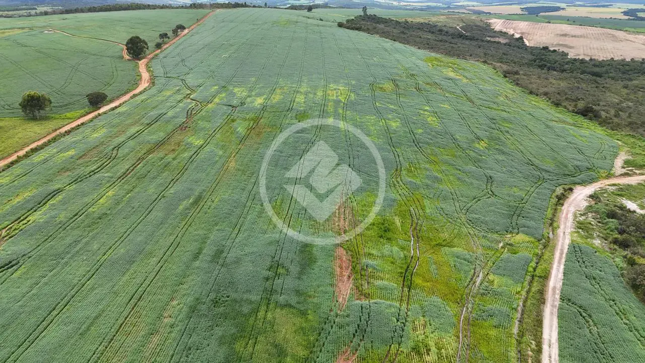 Imagem 3 - Fazenda em Zona Rural, Abadiânia - GO