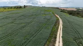 Imagem 4 - Fazenda em Zona Rural, Abadiânia - GO