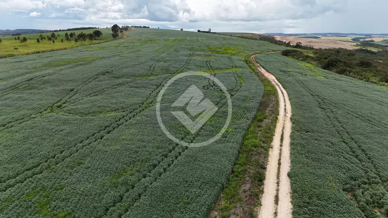 Imagem 4 - Fazenda em Zona Rural, Abadiânia - GO