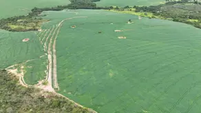 Imagem 5 - Fazenda em Zona Rural, Abadiânia - GO