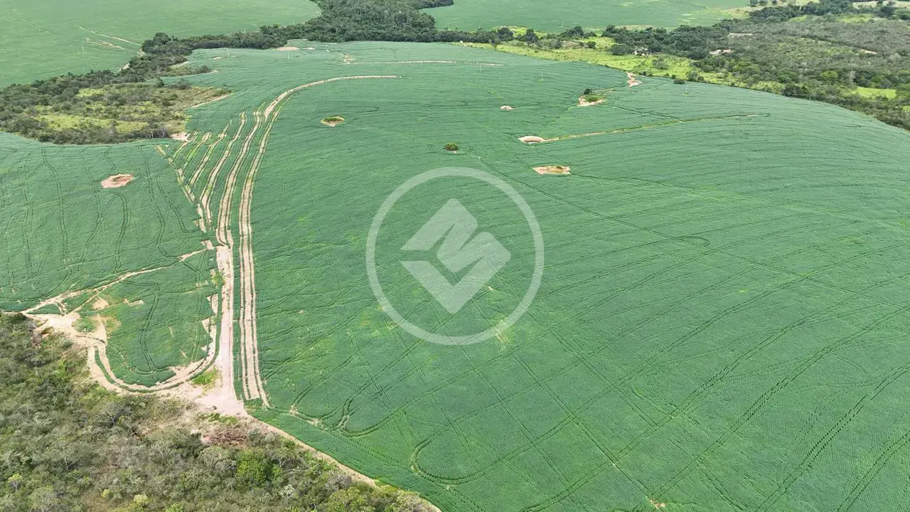 Imagem 5 - Fazenda em Zona Rural, Abadiânia - GO