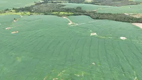 Imagem 6 - Fazenda em Zona Rural, Abadiânia - GO