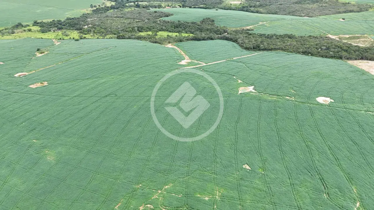 Imagem 6 - Fazenda em Zona Rural, Abadiânia - GO