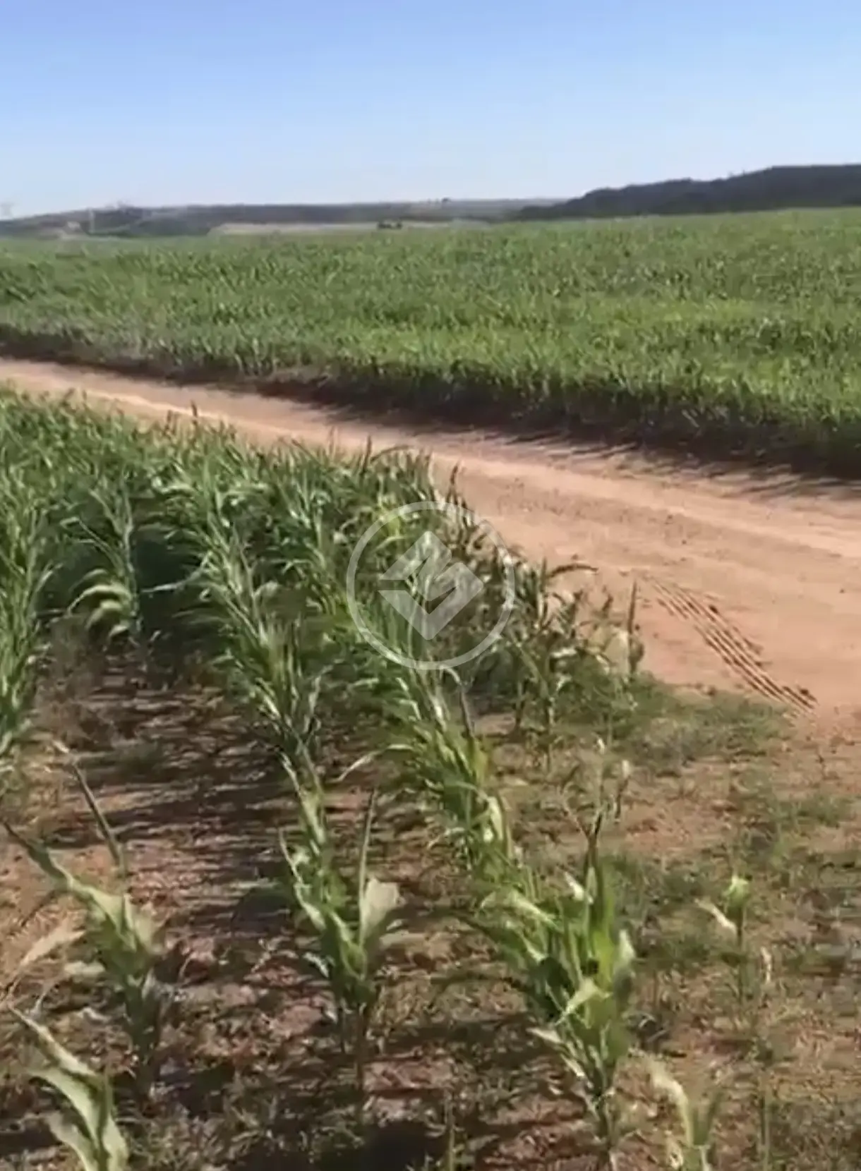 Imagem 1 - Fazenda em Silvania-GO, Silvânia - GO