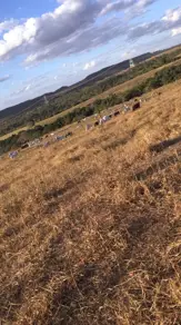 Imagem 2 - Fazenda em Silvania-GO, Silvânia - GO