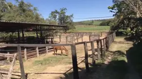 Imagem 3 - Fazenda em Silvania-GO, Silvânia - GO