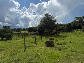 Imagem 3 - Fazenda em rural zona rural, Varjão - GO