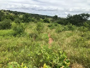 Fazenda Área Rural de Caldas Novas, Caldas Novas - GO — foto 2