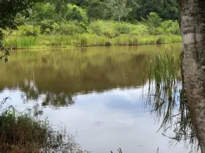 Imagem 2 - Fazenda em Área Rural de Caldas Novas, Caldas Novas - GO