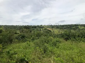 Imagem 3 - Fazenda em Área Rural de Caldas Novas, Caldas Novas - GO