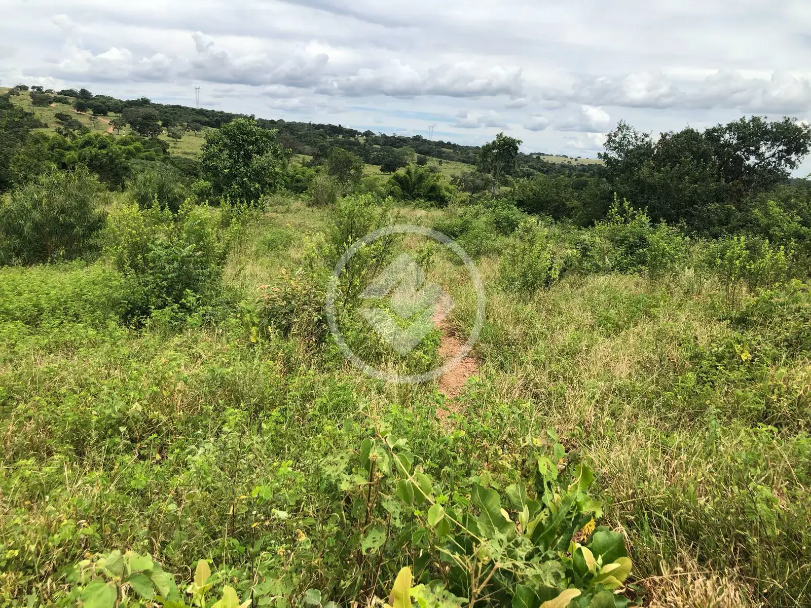 Image 6 - Fazenda em Área Rural de Caldas Novas, Caldas Novas - GO