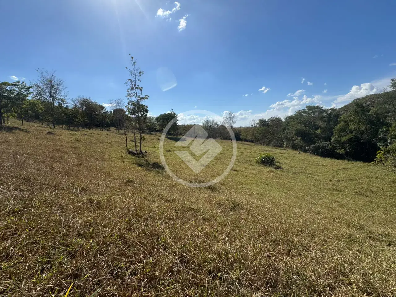 Imagem 3 - Terreno em Centro, Marcelândia - MT