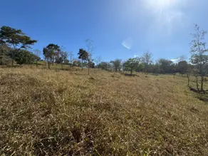 Imagem 2 - Terreno em CENTRO, Marcelândia - MT