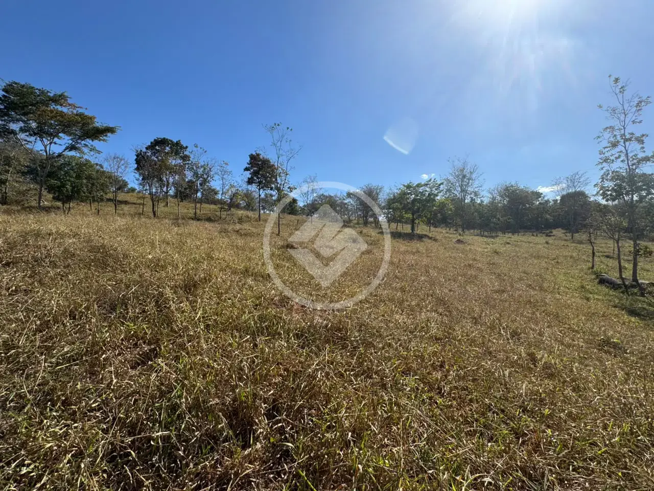 Imagem 2 - Terreno em Centro, Marcelândia - MT