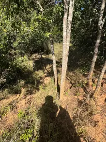 Imagem 4 - Terreno em CENTRO, Marcelândia - MT