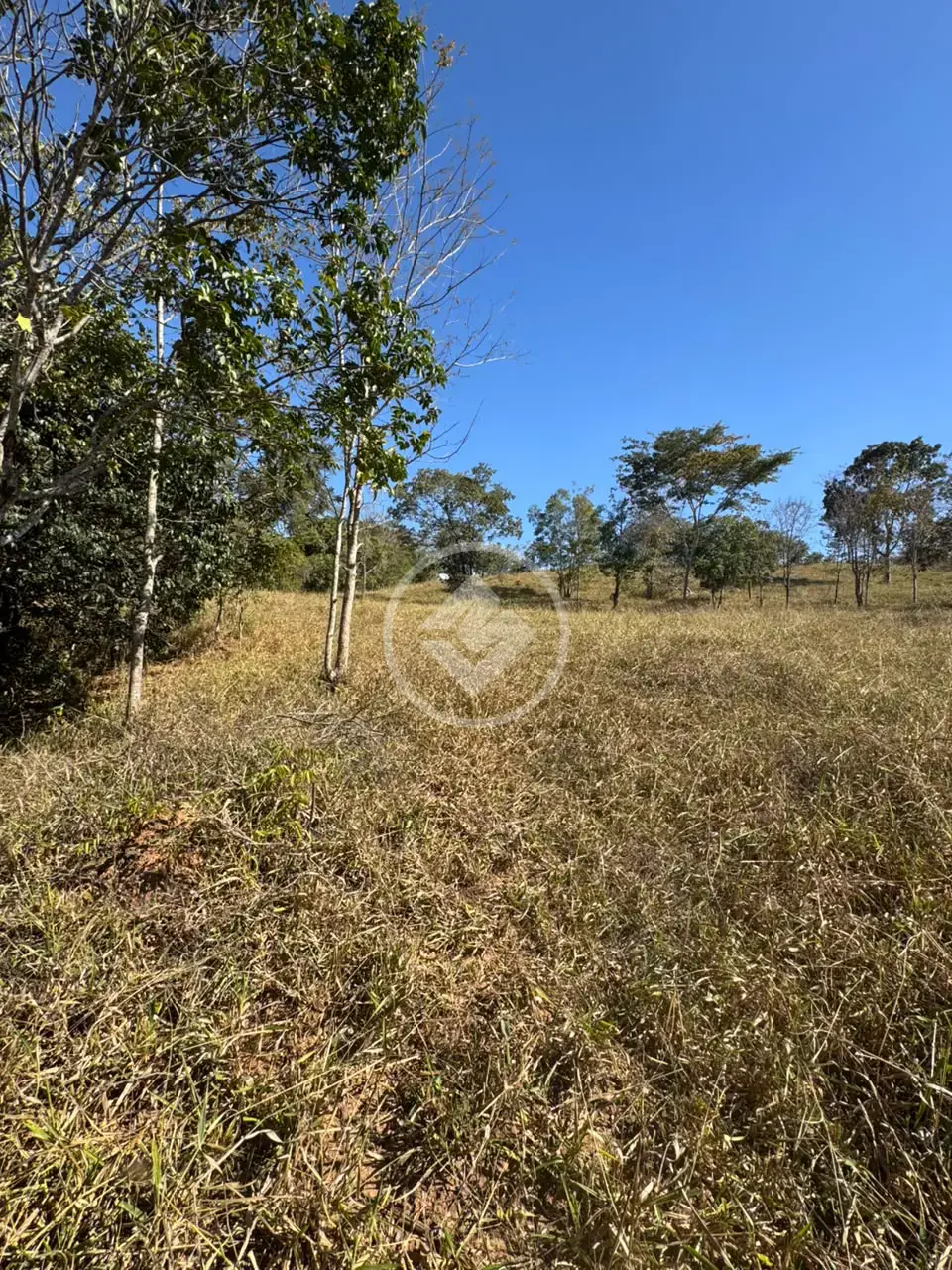Imagem 6 - Terreno em Centro, Marcelândia - MT