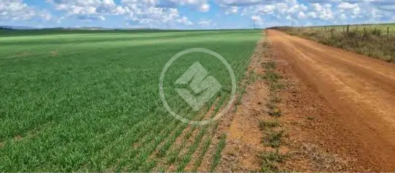 Imagem 1 - Fazenda em Centro, São João d'Aliança - GO