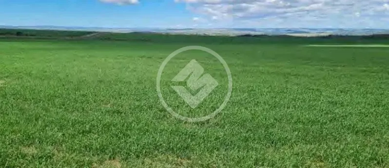 Imagem 1 - Fazenda em Centro, São João d'Aliança - GO