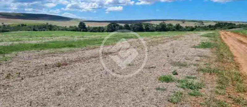 Imagem 5 - Fazenda em Centro, São João d'Aliança - GO