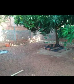 Imagem 5 - Casa em Santa Efigênia, Caldas Novas - GO