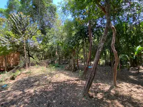 Imagem 3 - Chácara em Zona Rural, Caldas Novas - GO
