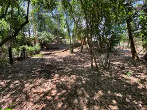 Imagem 4 - Chácara em Zona Rural, Caldas Novas - GO