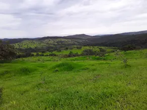 Fazenda , Cocalzinho de Goiás - GO — foto 2