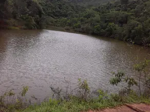 Fazenda , Cocalzinho de Goiás - GO — foto 1