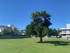 Imagem 3 - Terreno Condomínio em Campeche, Florianópolis - SC
