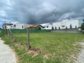 Terreno Campeche, Florianópolis - SC — foto 2