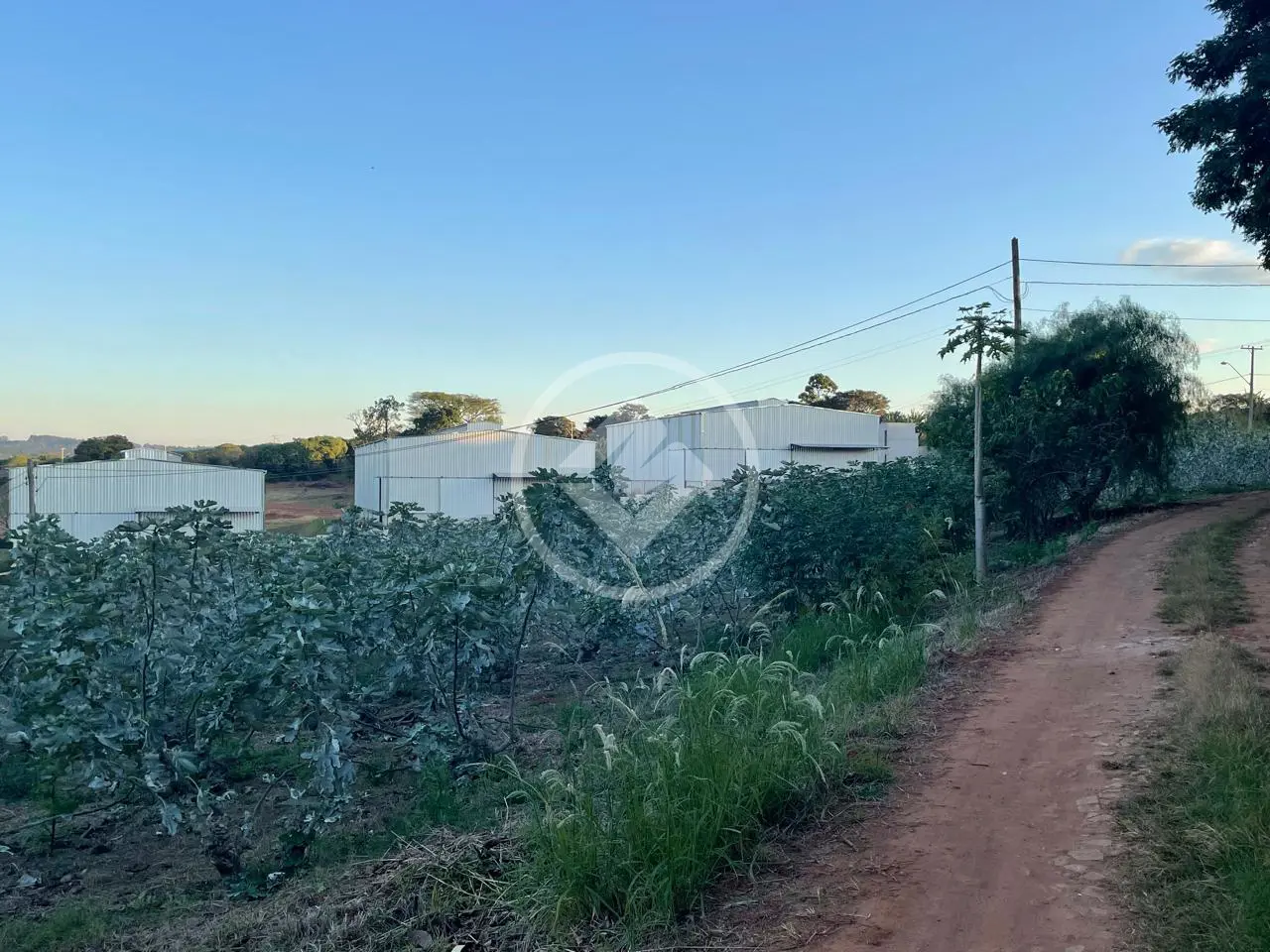 Imagem 4 - Chácara em Reforma Agrária, Campinas - SP