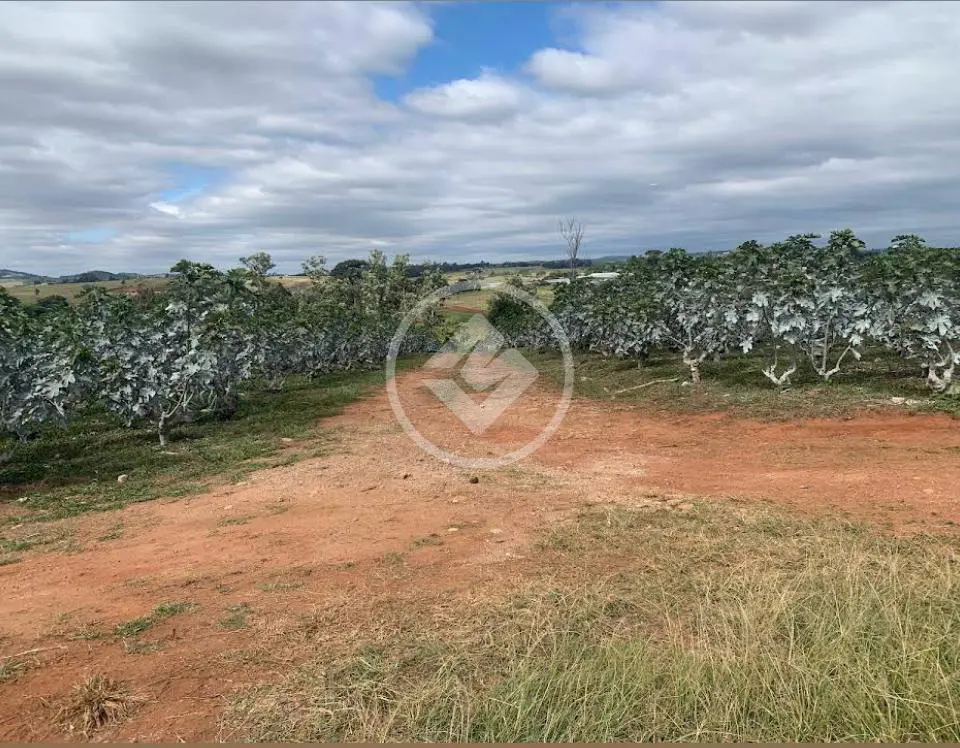 Chácara Reforma Agrária, Campinas - SP — foto 2