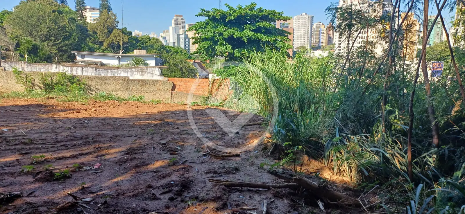 Imagem 4 - Terreno em Nova Campinas, Campinas - SP