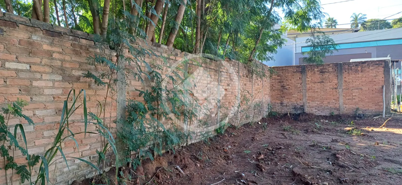 Imagem 2 - Terreno em Nova Campinas, Campinas - SP