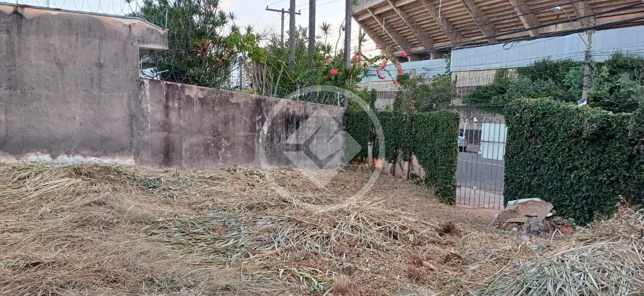 Imagem 3 - Terreno em Jardim Guarani, Campinas - SP