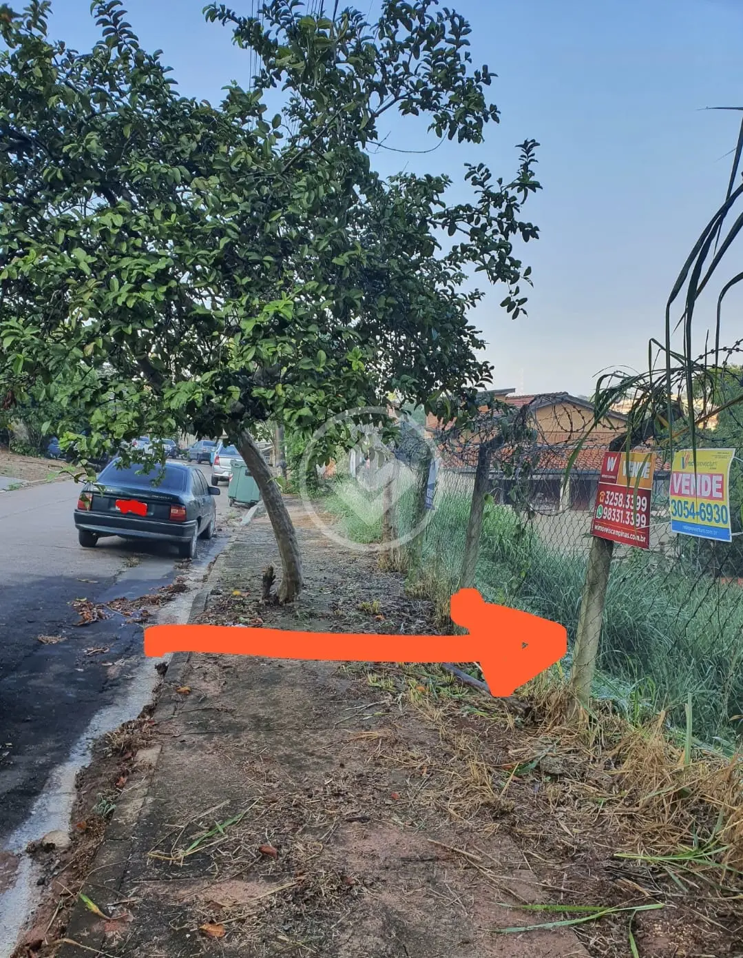 Imagem 6 - Terreno Condomínio em Jardim Sorirama (Sousas), Campinas - SP