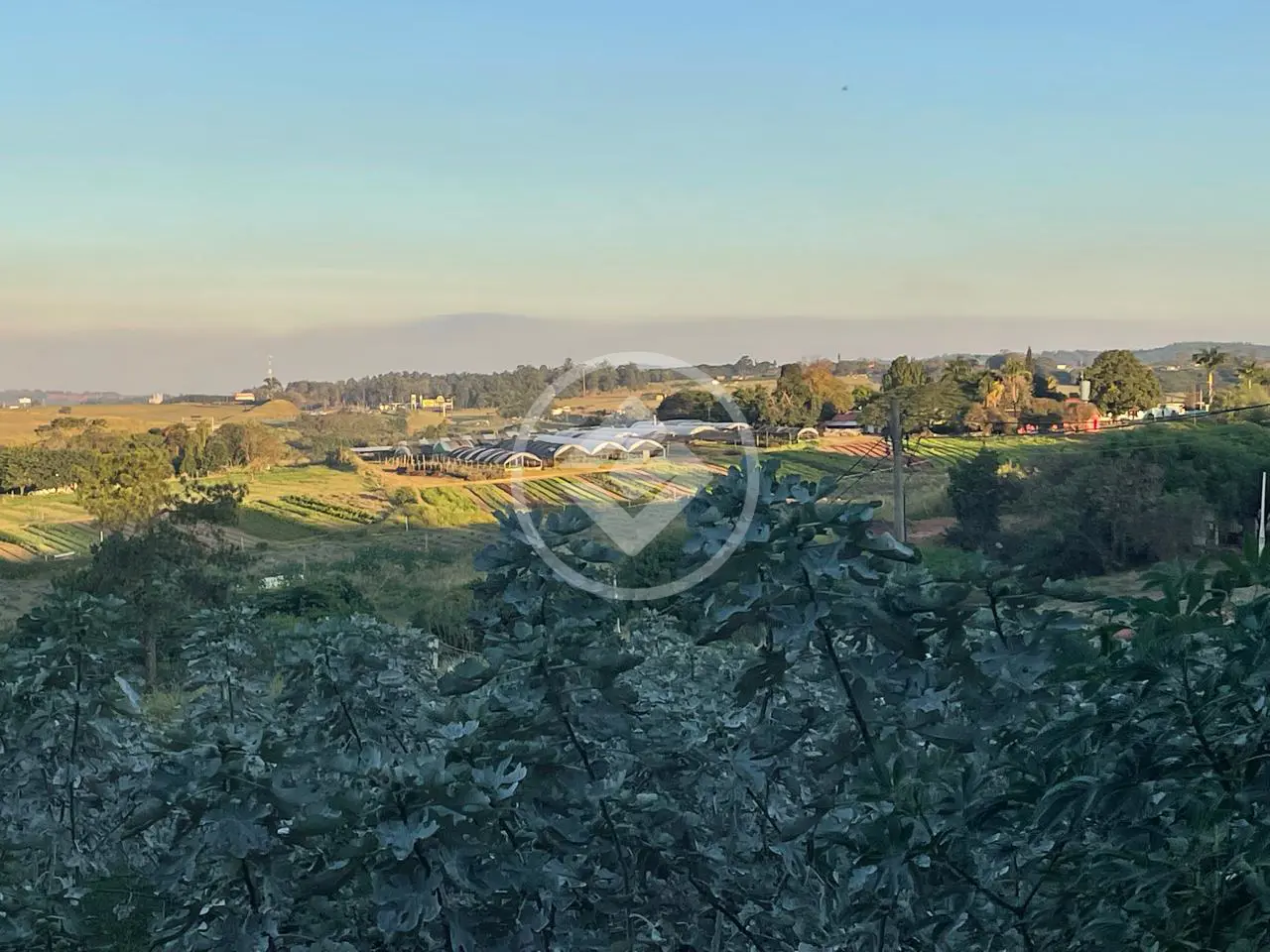 Imagem 2 - Chácara em Reforma Agrária, Campinas - SP