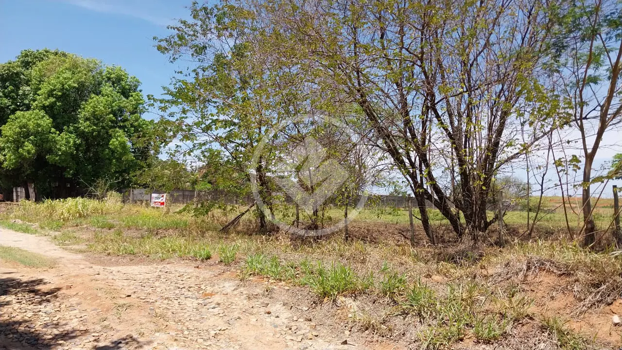 Imagem 4 - Terreno em Sítios de Recreio Santa Carolina, Marília - SP