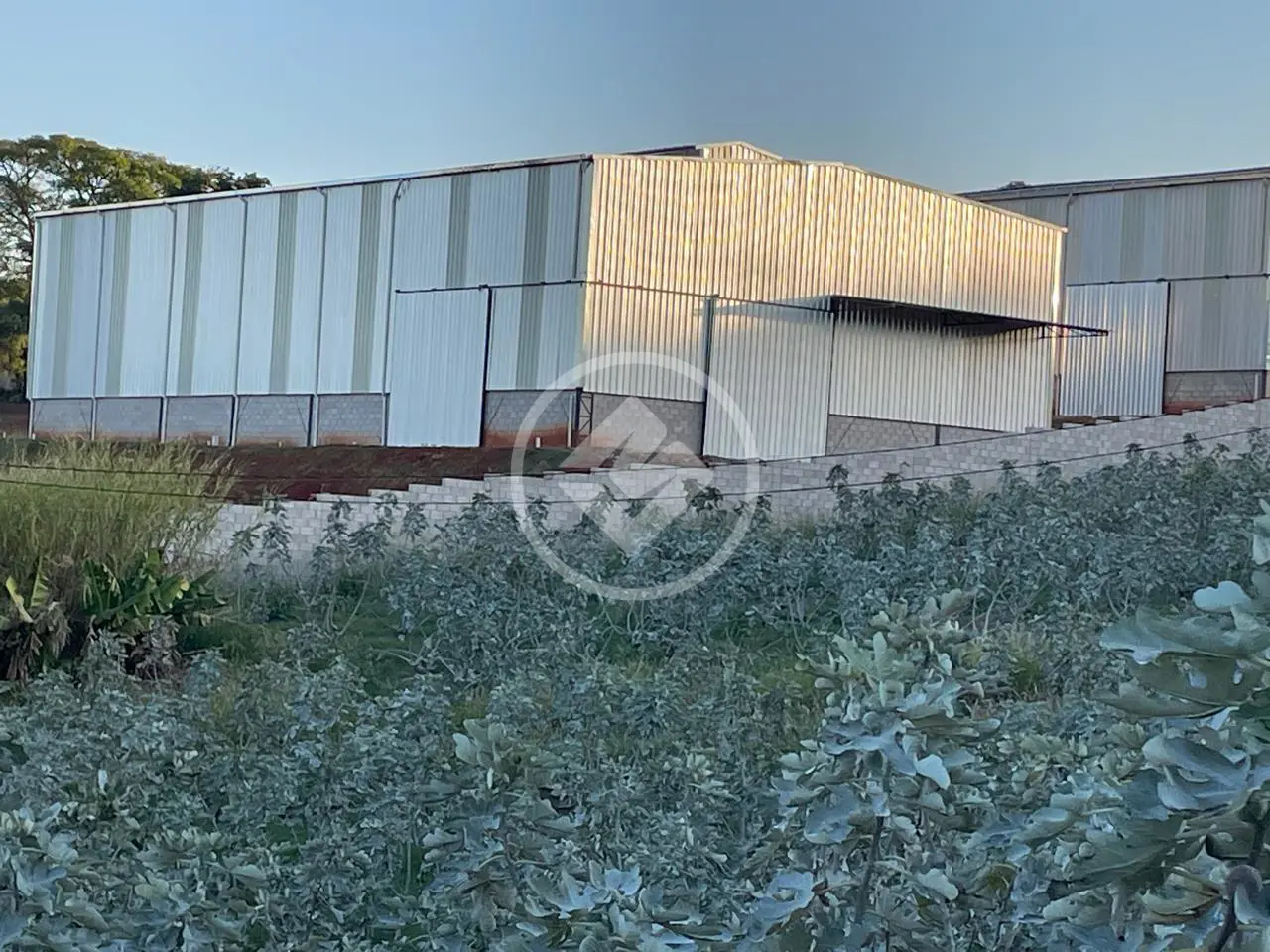 Imagem 5 - Chácara em Reforma Agrária, Campinas - SP