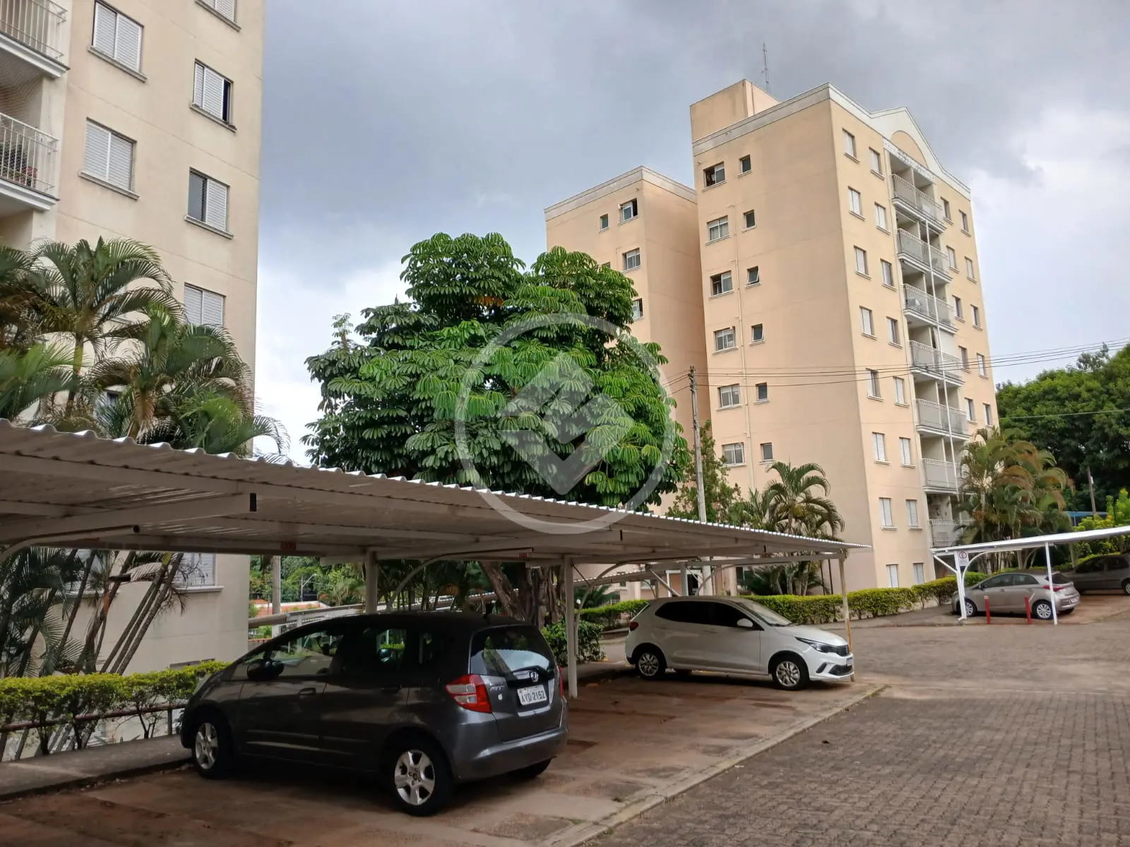 Imagem 1 - Apartamento em Vila Nova Teixeira, Campinas - SP