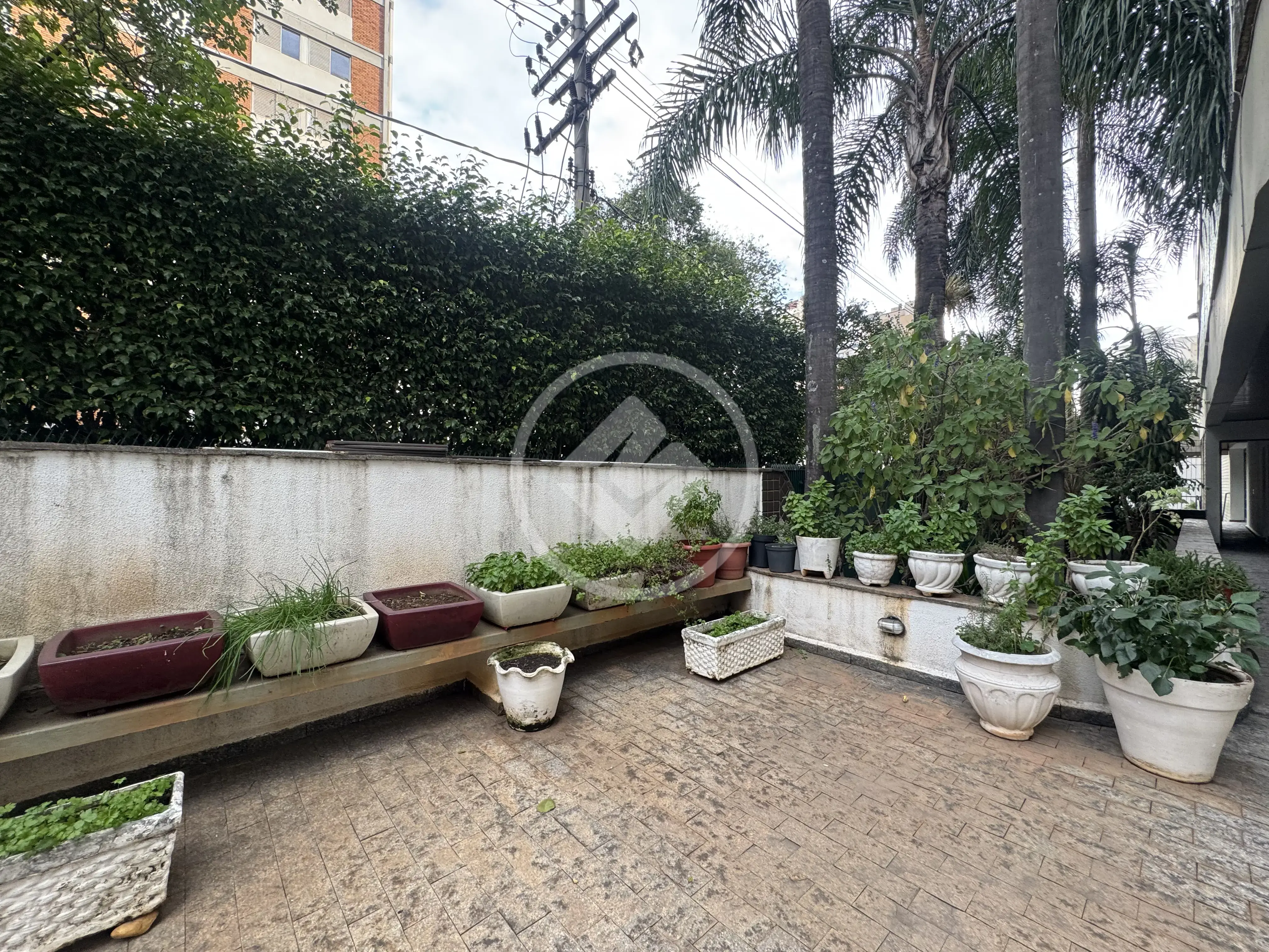 Imagem 3 - Apartamento em Cambuí, Campinas - SP