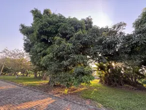 Imagem 4 - Terreno Condomínio em Tijuco das Telhas, Campinas - SP