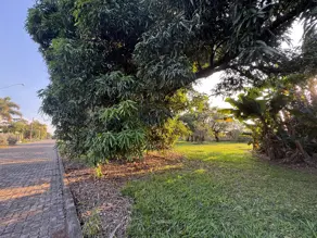 Imagem 5 - Terreno Condomínio em Tijuco das Telhas, Campinas - SP