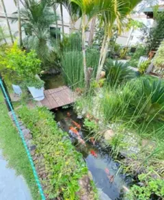 Imagem 6 - Apartamento em Jardim São José, Campinas - SP