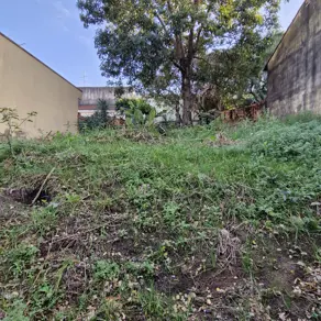 Terreno Vila Proost de Souza, Campinas - SP — foto 2